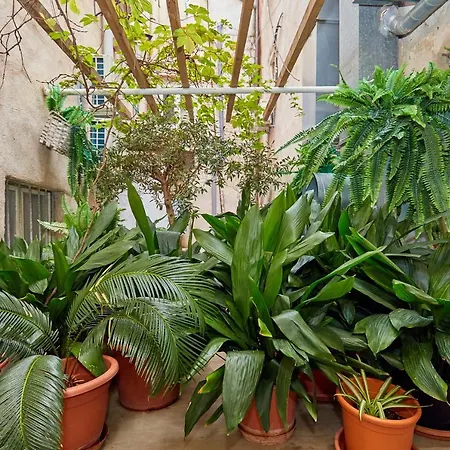 Appartement Hidden Gem Old Town