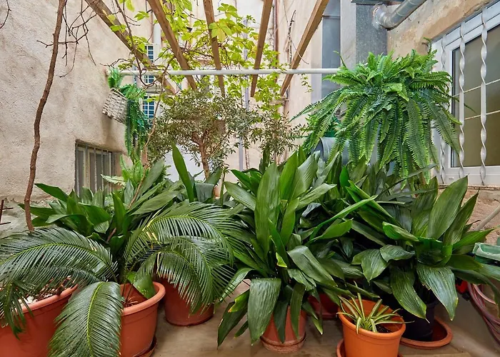 Appartement Hidden Gem Old Town